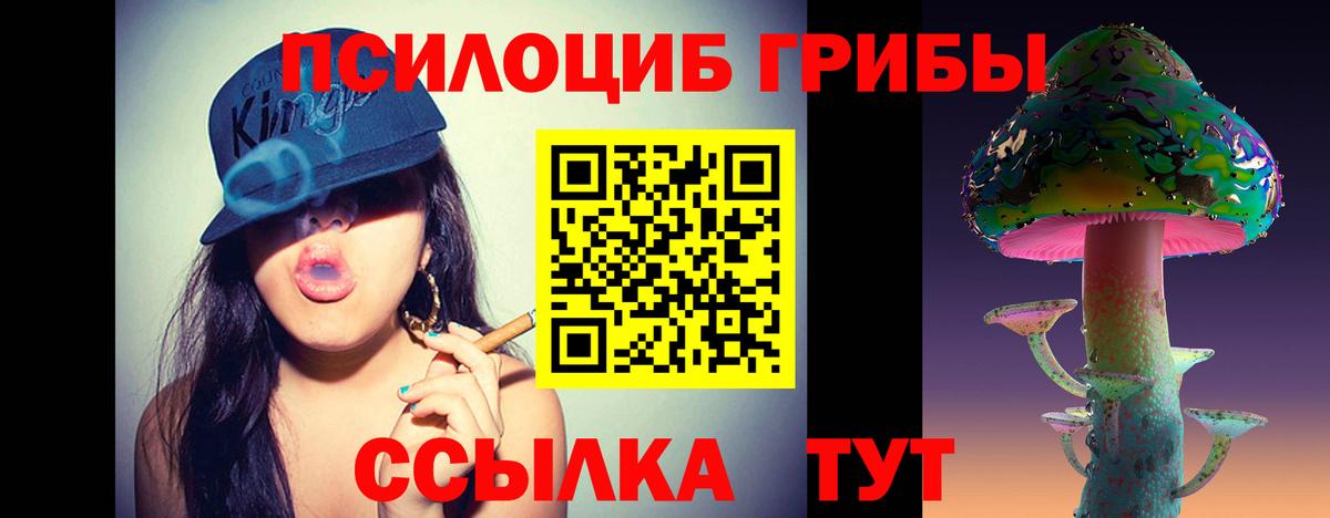 Бердск  Псилоцибиновые грибы Psilocybe  Вход с VPN 