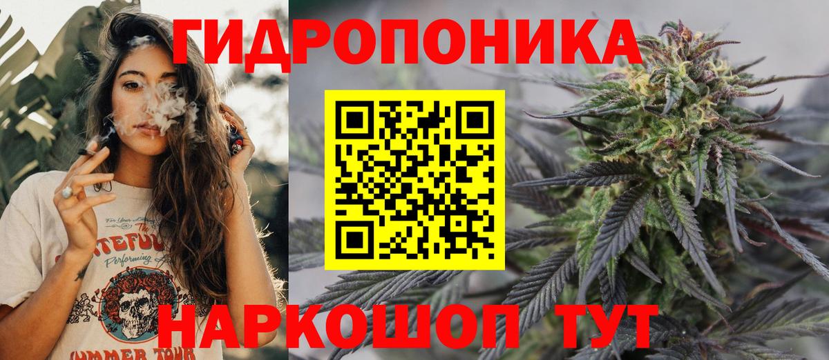 Бошки марихуана OG Kush  Вход с VPN  Бошки Шишки индика  Марихуана марихуана  Бердск 